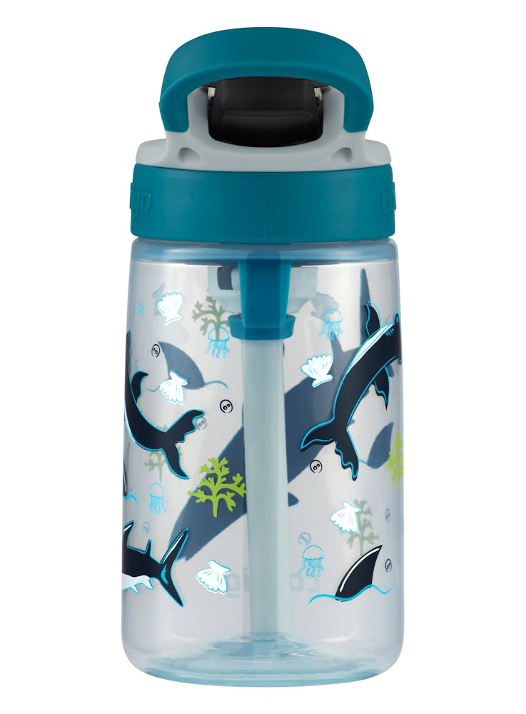 Contigo® Kids Straw Water Bottle with AUTOSPOUT® Lid, 14oz (SS3H)