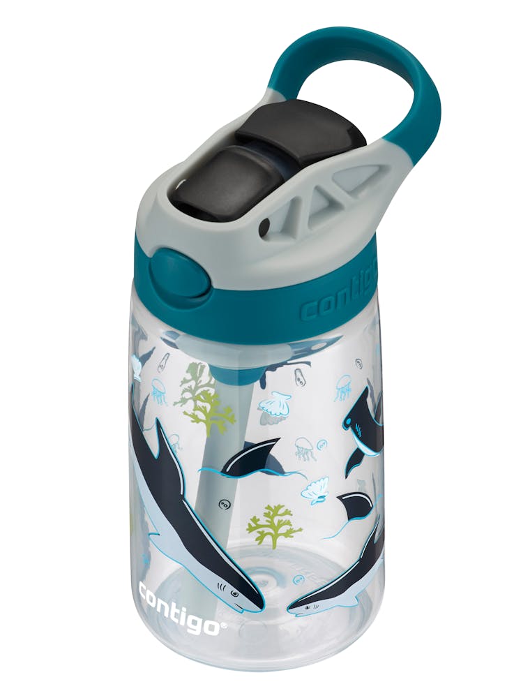 Contigo® Kids Straw Water Bottle with AUTOSPOUT® Lid, 14oz (SS3H)