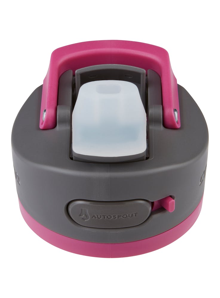 Contigo® Ashland 2.0 Water Bottle with AUTOSPOUT® Lid, 24oz (1VUO)