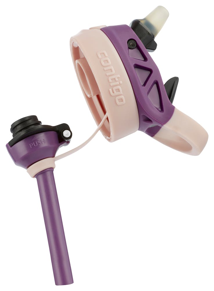 Contigo® Kids Straw Water Bottle with AUTOSPOUT® Lid, 14oz (SS3H)
