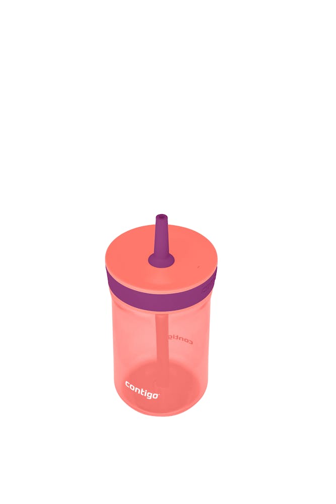 Contigo® Kids’ Leighton Straw Tumbler with Spill-Proof Leak-Proof Lid, 14oz (XKZO)