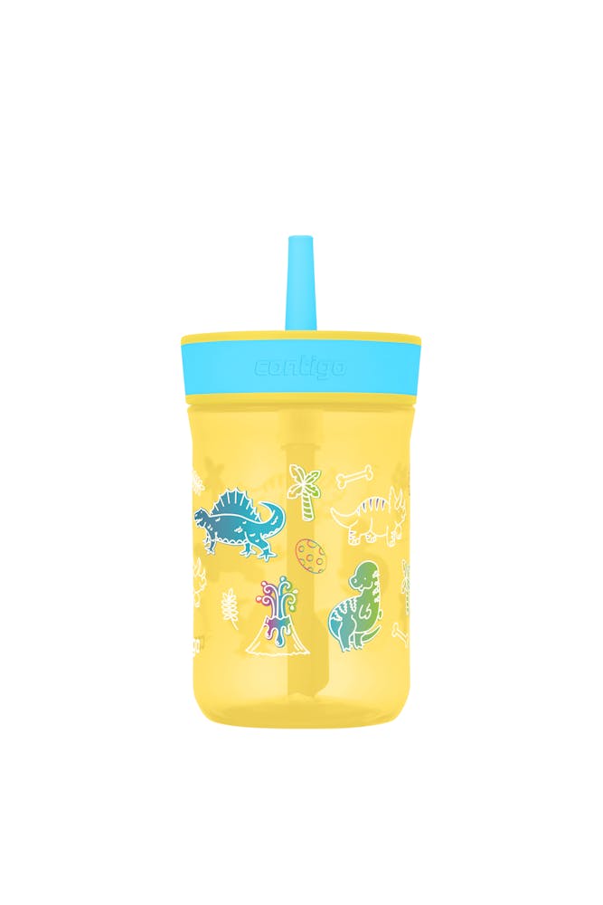 Contigo® Kids’ Leighton Straw Tumbler with Spill-Proof Leak-Proof Lid, 14oz (XKZO)