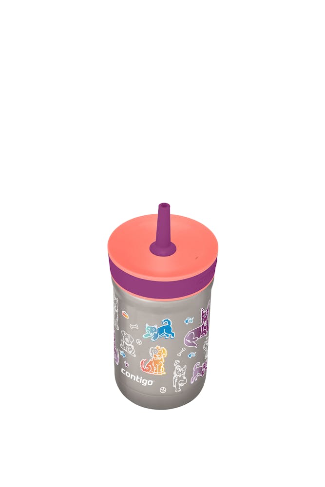 Contigo® Kids Leighton Spill-Proof Stainless Steel Tumbler with Straw, 12oz (JH8R)