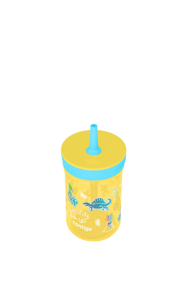 Contigo® Kids’ Leighton Straw Tumbler with Spill-Proof Leak-Proof Lid, 14oz (XKZO)