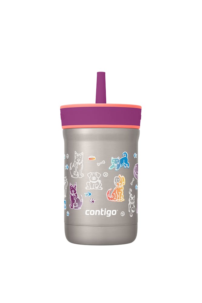 Contigo® Kids Leighton Spill-Proof Stainless Steel Tumbler with Straw, 12oz (JH8R)