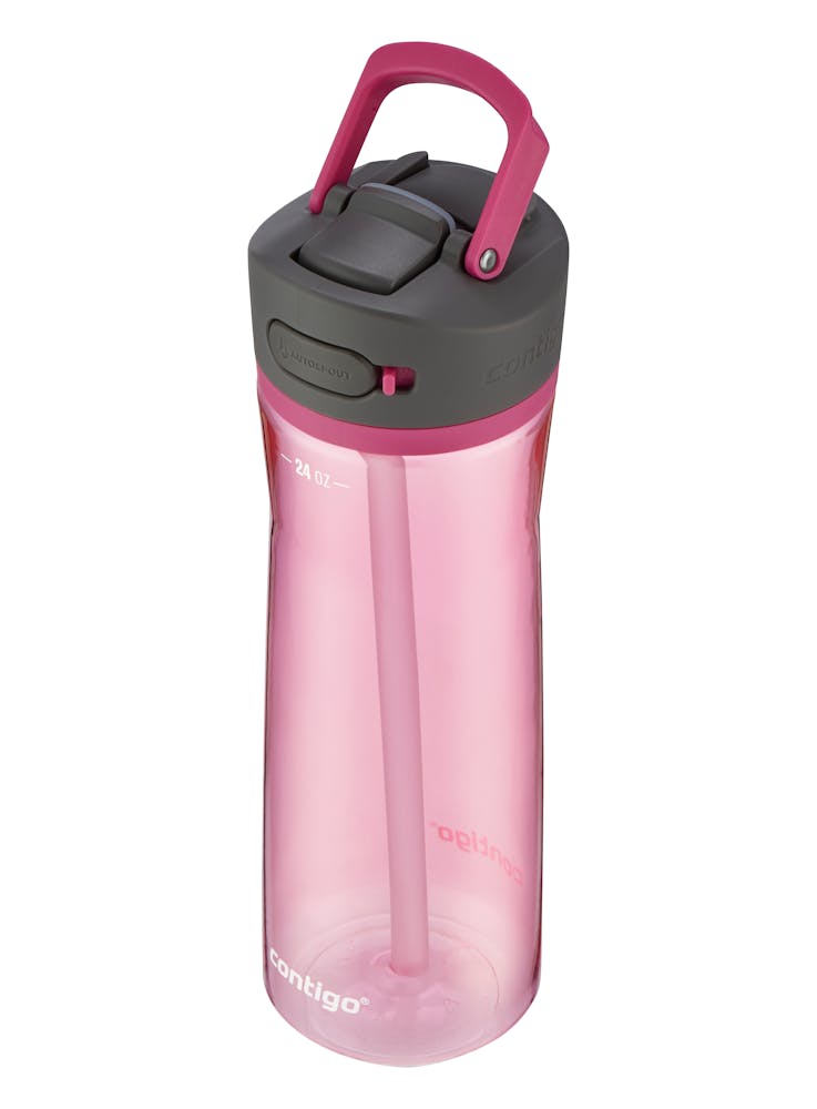 Contigo® Ashland 2.0 Water Bottle with AUTOSPOUT® Lid, 24oz (1VUO)